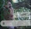 WhatsApp lança maior campanha global para reforçar que 'nem mesmo eles' veem suas mensagens