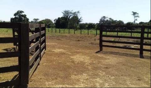 Chacará à venda em Colíder