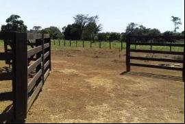 Chacará à venda em Colíder