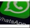 Nova função do WhatsApp conquista usuários