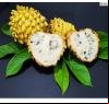 A fruta secreta que baixa pressão e açúcar naturalmente